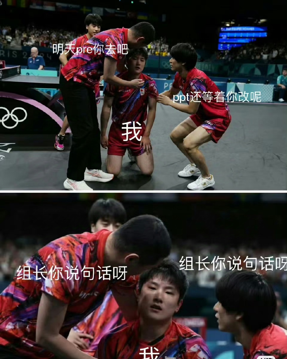 关于法国队横扫日本队，张本智和统治全场的信息