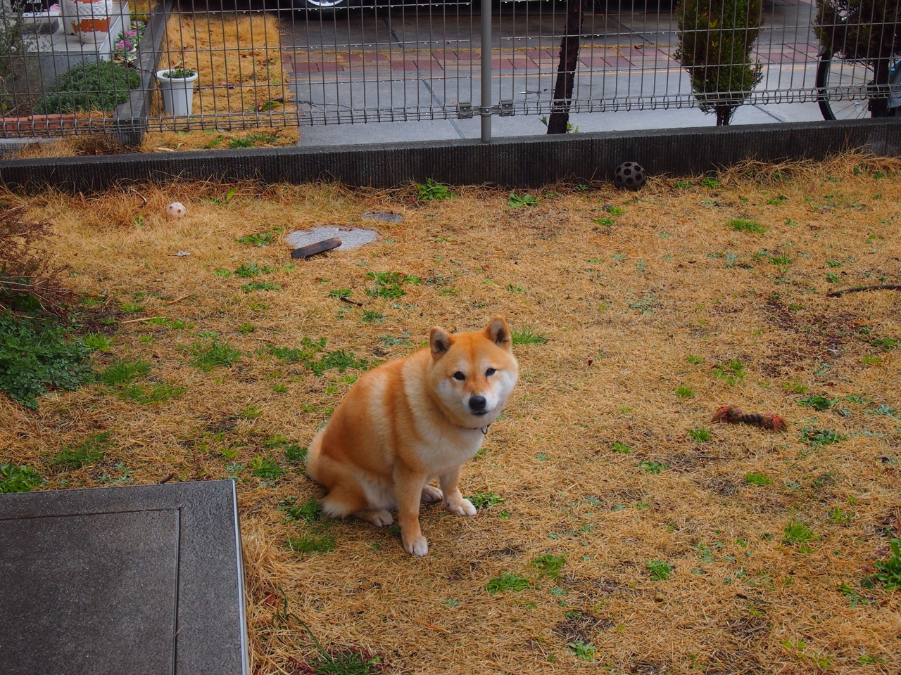 当足球遇上地理课，加拿大把伊拉克塞进背包带走了