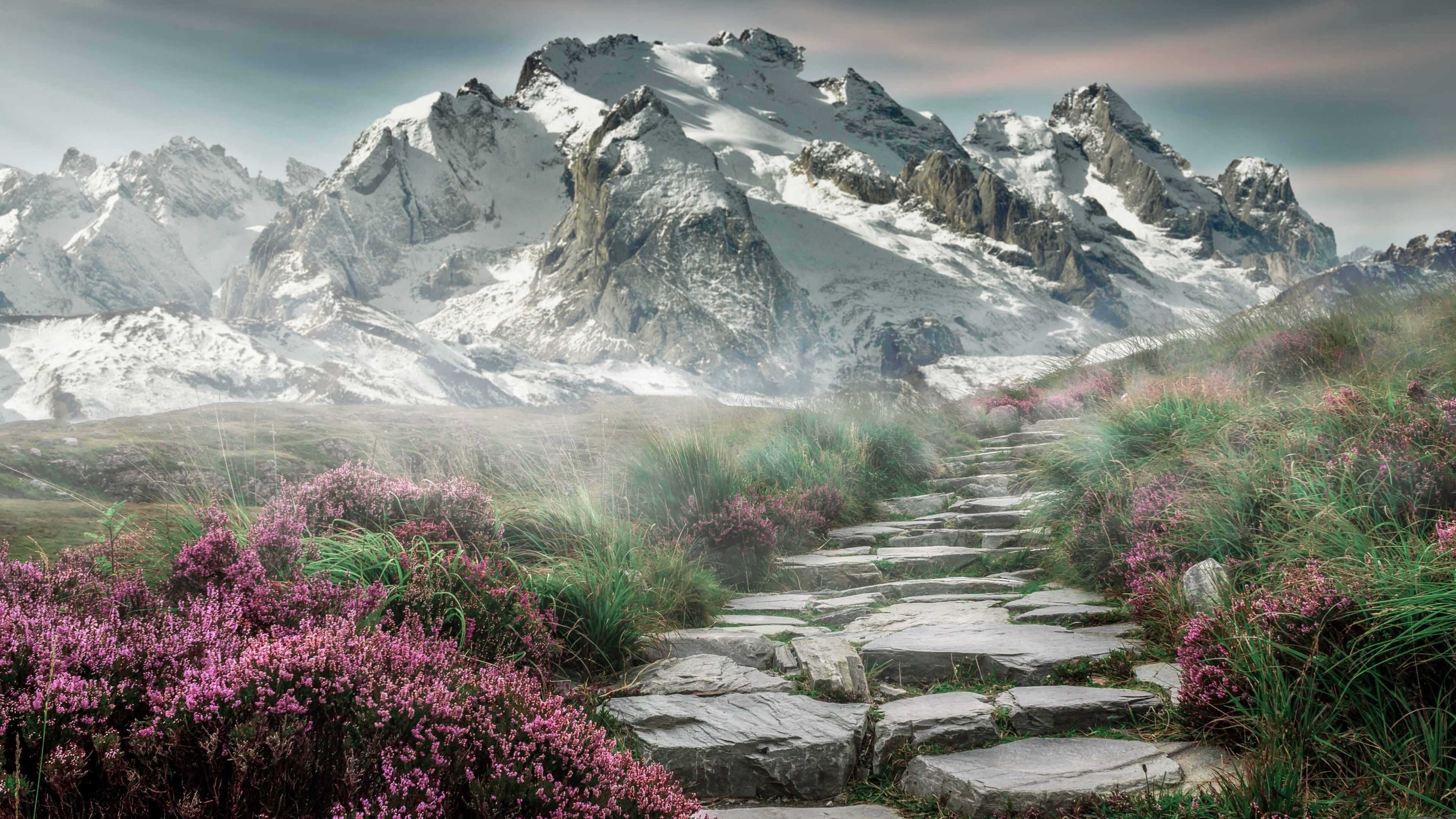 一个人的教科书，奥利维耶点亮曼联晋级之路