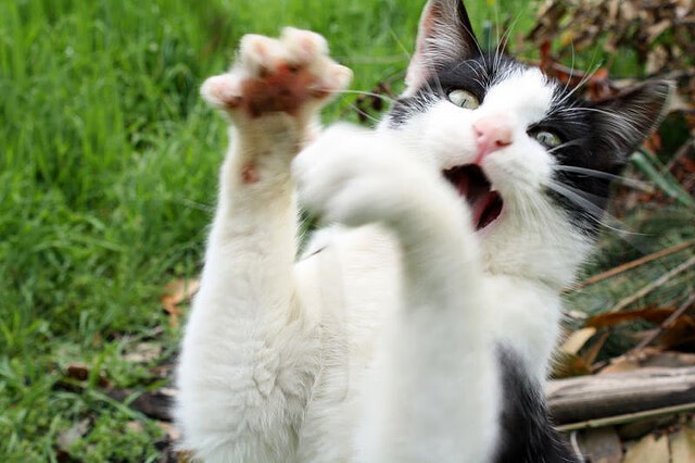 当射手收起锋芒，西决封神夜，马克西的防守铭刻历史