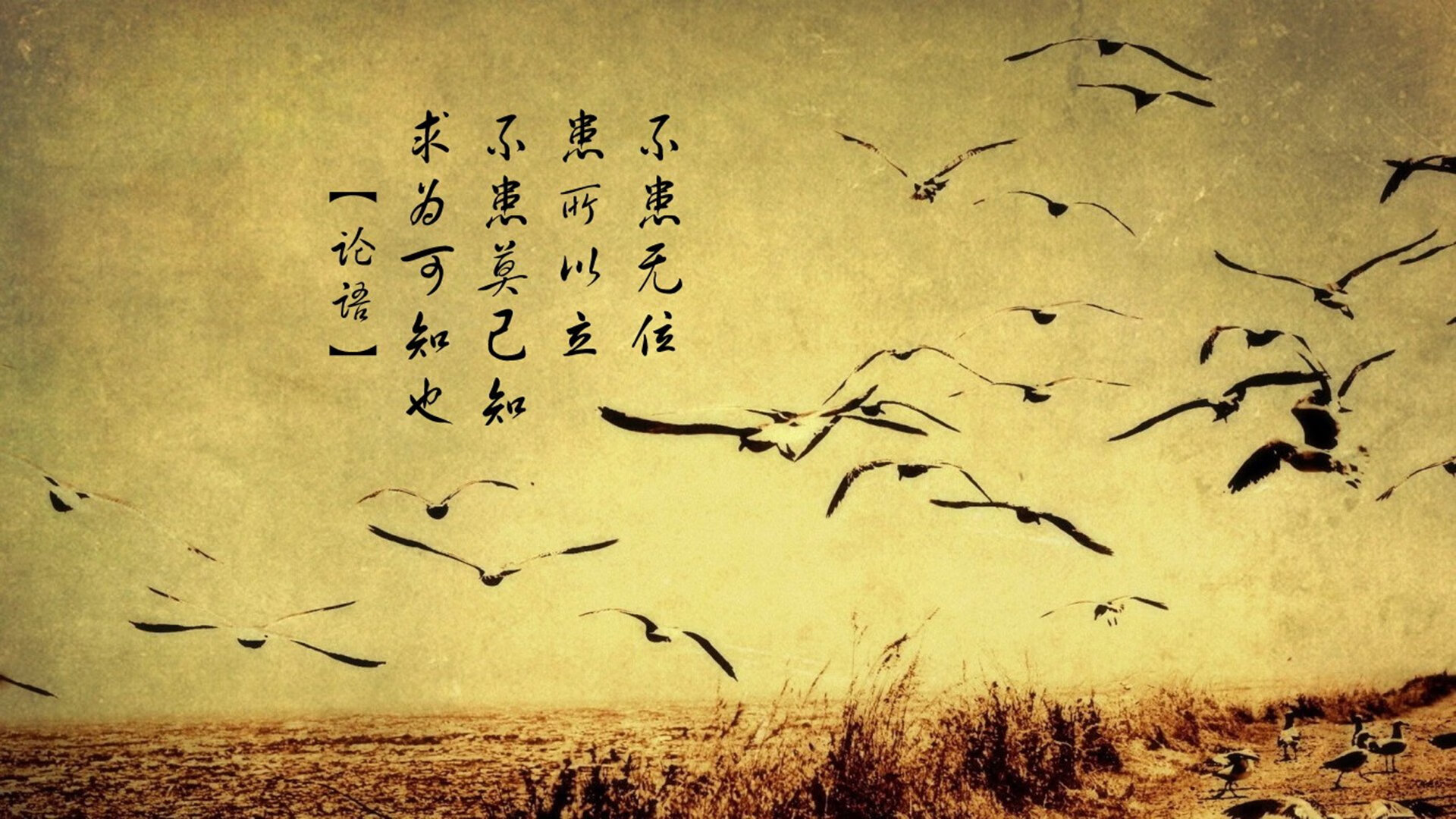 跨界传奇,从智利击穿罗马到姆巴佩欧冠封神
