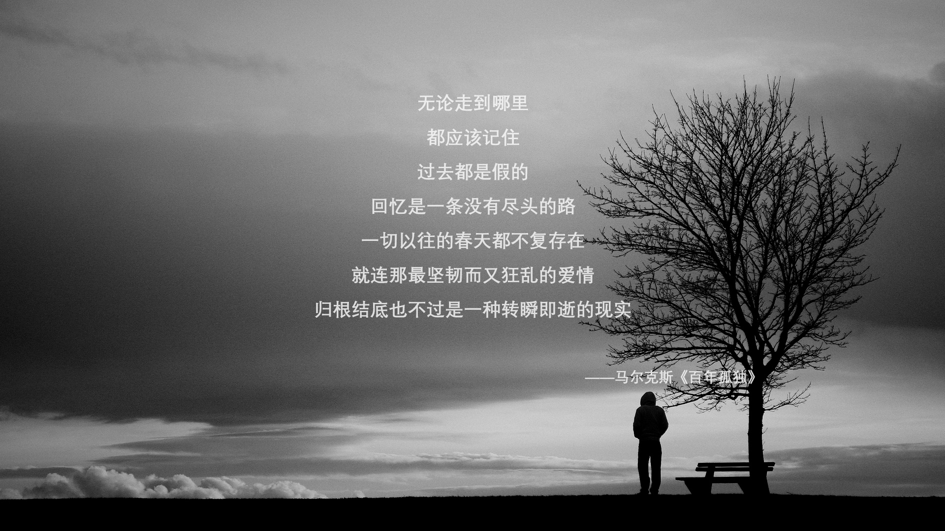 文化冷战,当德比战超越绿茵场—阿劳霍如何化身波斯铁骑,在德甲争冠战中粉碎芬兰基因