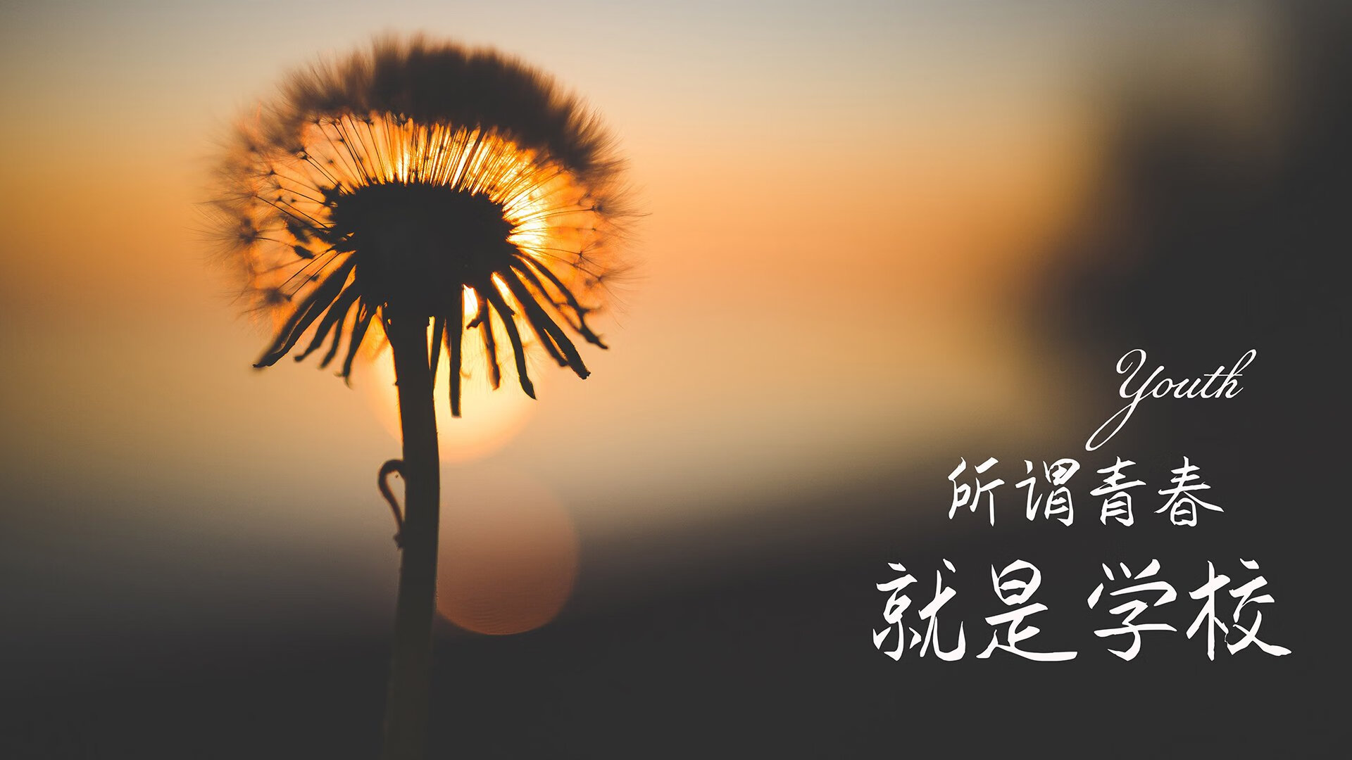 2026世界杯F组焦点战,智利新王登基,坎塞洛的独裁统治与美国队的无声溃败