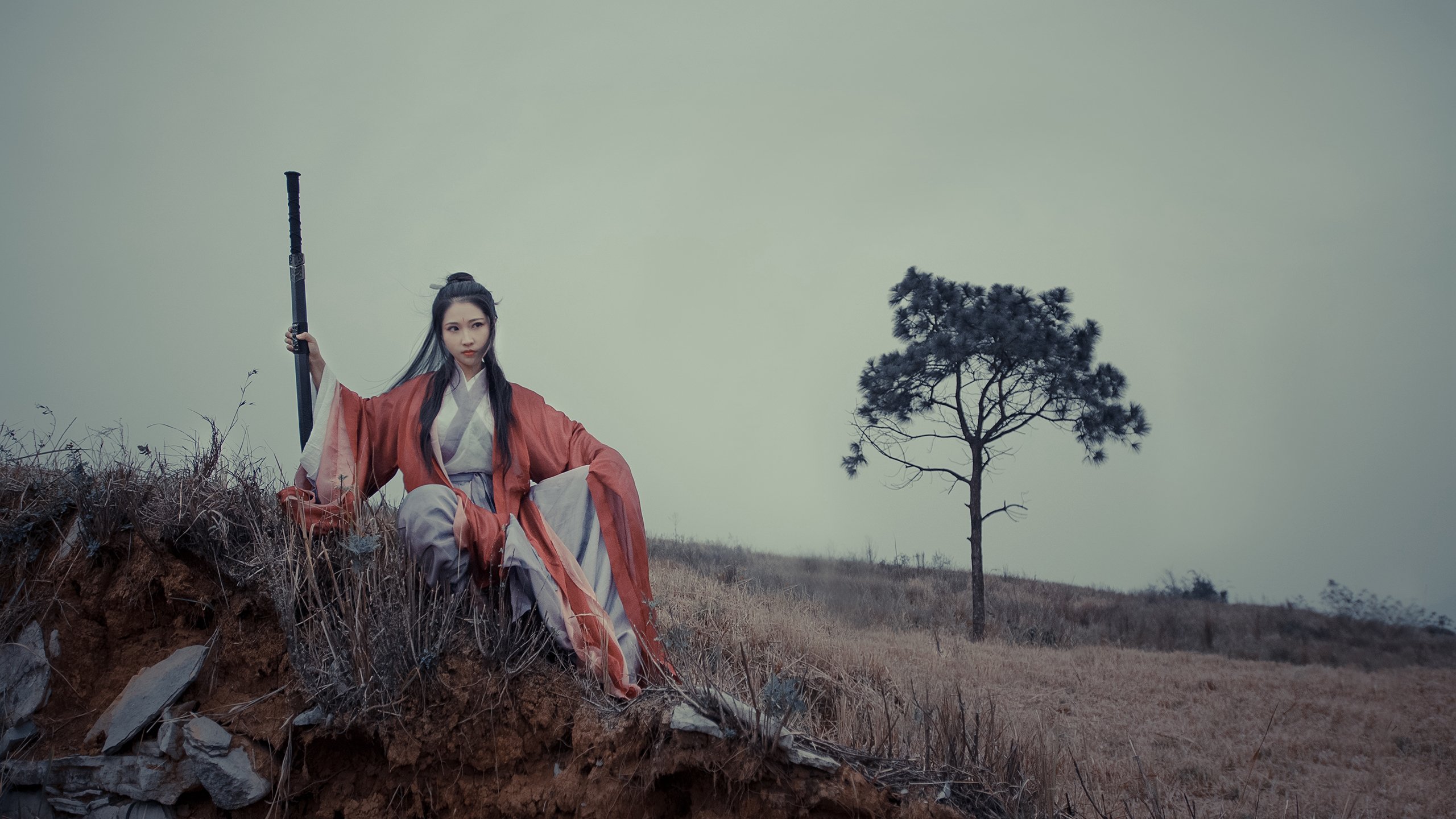 以下是为你构思的标题与文章