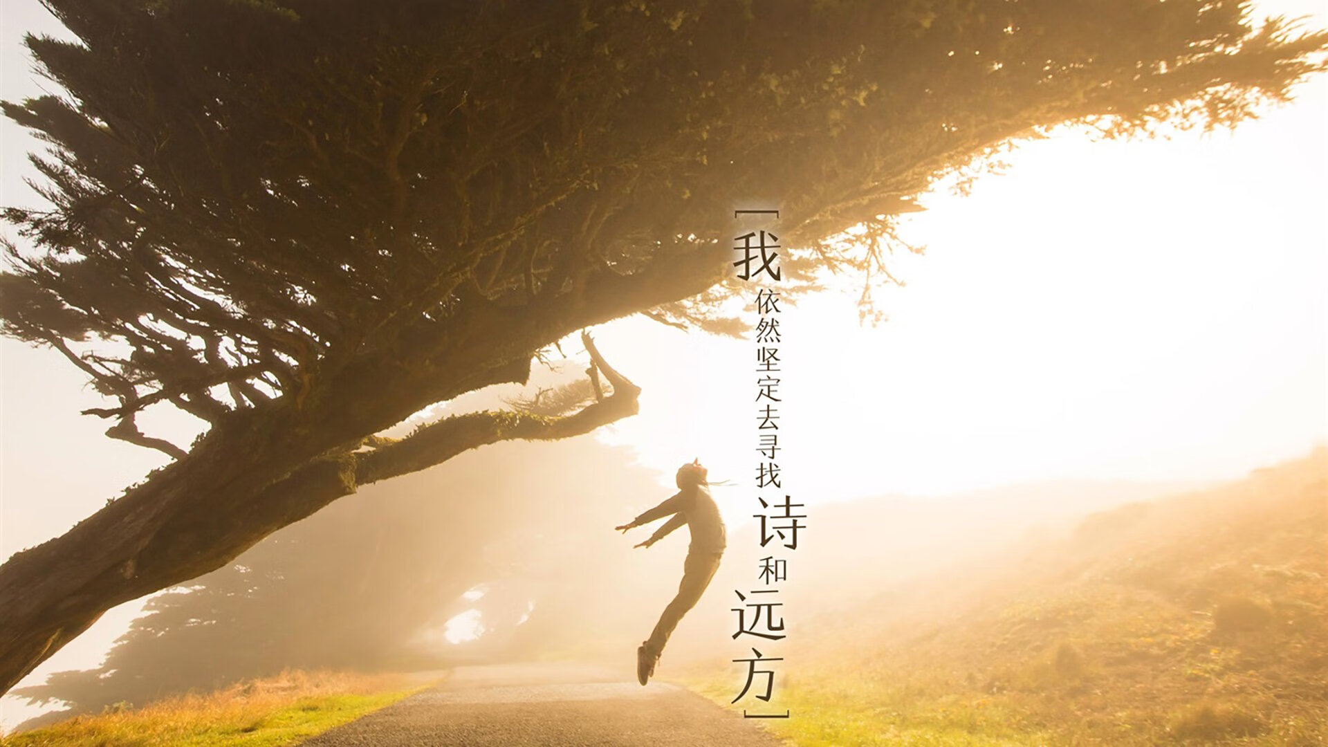 亚洲之翼折戟非洲雄狮，2026世界杯B组，孙兴慜独舞难救主，加纳掀起黑色风暴完胜日本